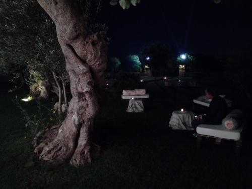 Bed & Breakfast Masseria Alberotanza