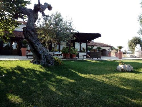 Bed & Breakfast Masseria Alberotanza