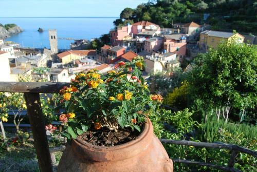 Hotel Monterosso Alto