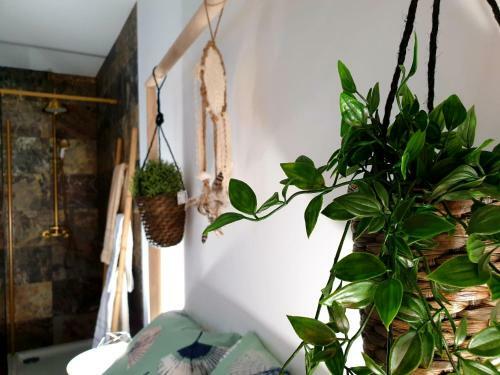 Apartamento Casa Da Pra�a Casas Bem Haja