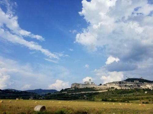 Apartamento Il Rosso Con Vista