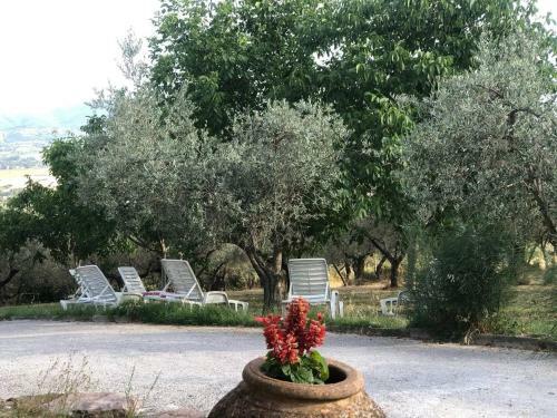 Apartamento Il Rosso Con Vista