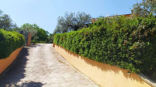 Apartamento Il Rosso Con Vista