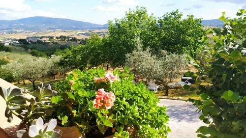 Apartamento Il Rosso Con Vista
