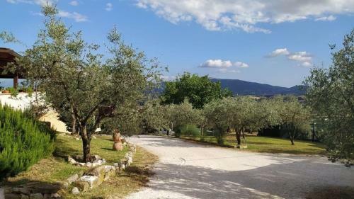 Apartamento Il Rosso Con Vista