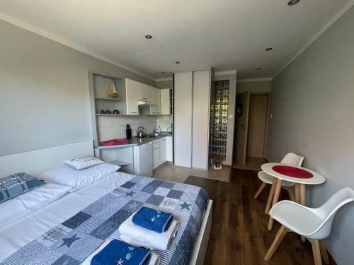 Apartamento Pokoje Go?cinne Asia