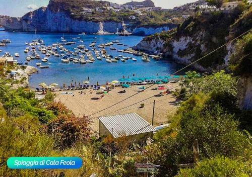 Apartamento Bluponza Case Vacanza Appartamento Orchidea