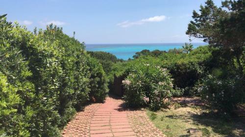 Casa La Pelosa Beach