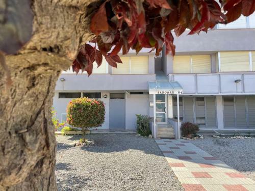 Apartamento "el Lil� - 3"
