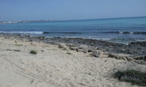B&B Letizia