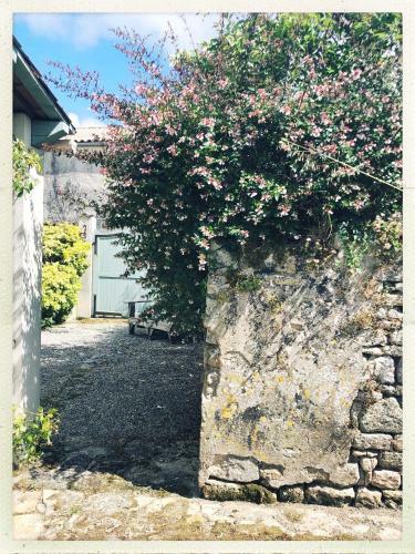 Bed & Breakfast La P'tite Escale
