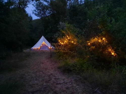 Eco Tent 6 Pers In De Krachtige Natuur Van De Gard