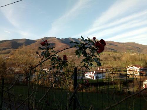 G�te Etxe Xuri