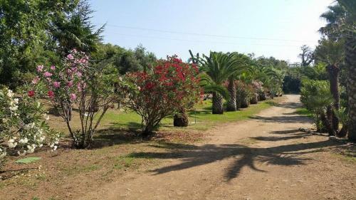 Apartamento R�sidence Cirnea