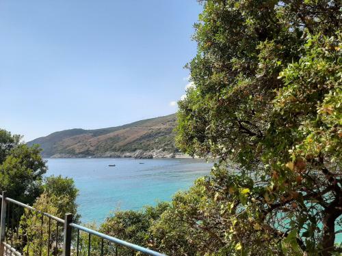 Social Camping Jal