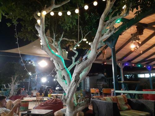 Social Camping Jal