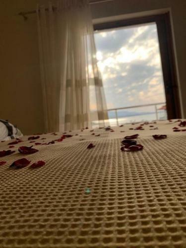 Hotel Milo