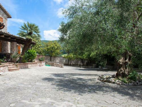 Villa Olivo Secolare