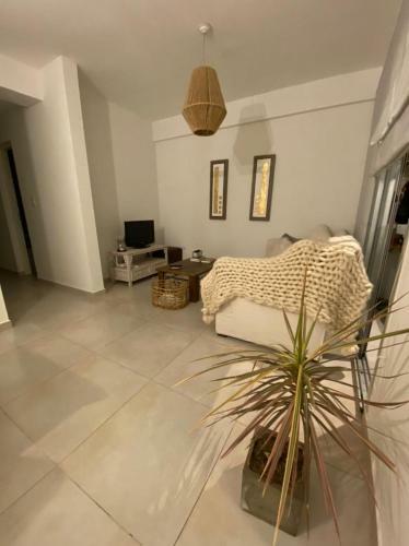 Apartamento Bolivar Estrella -2 Dormitorios Y Dos Ba�os