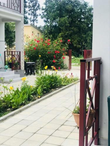 Apollo Cottages