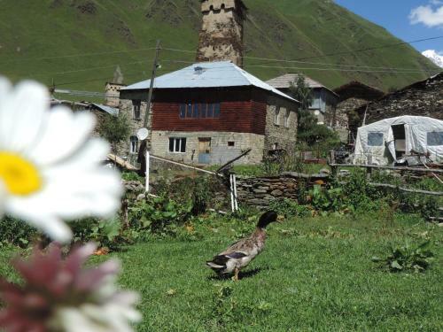 Hostal Erasti Guesthouse