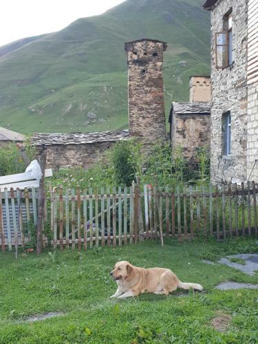 Hostal Erasti Guesthouse