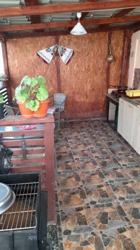 Camere De �nchiriat Maria