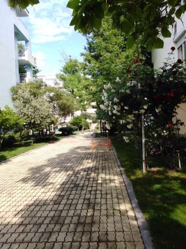 Guest Apartment Yassen-d