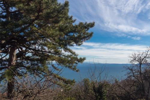 Apartamento Comfy And Warm Ap With Balcony Surrounded With Beautiful Nature