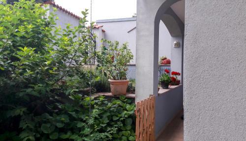 Apartamentos Alda