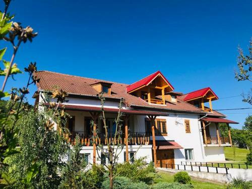Hostal Vila ?ara Ha?egului