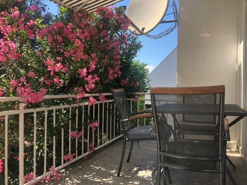 Apartmani Focic