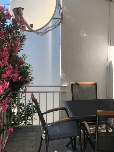 Apartmani Focic
