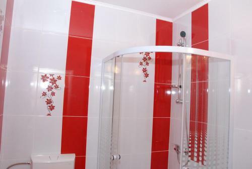 Hostal Vila Nicoleta