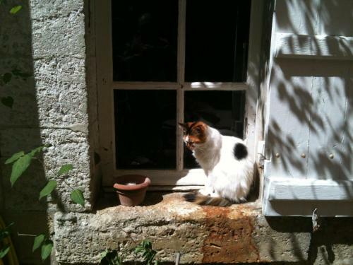 Bed & Breakfast Chambres D'hotes Hostellerie Le Donjon