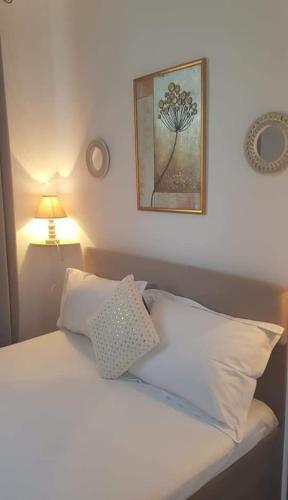 Hostal Boemul Neptun