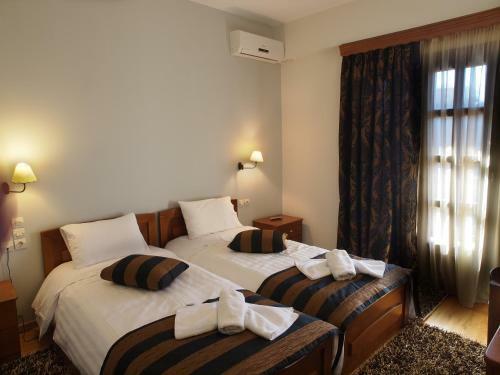 Hotel Archontiko Tzoumerkon
