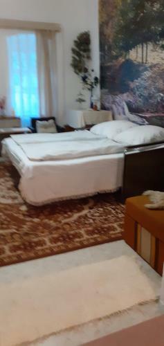 Marika Vend�gh�z