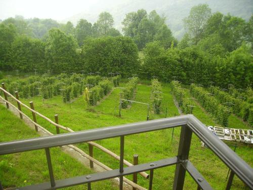 Apartamento Agriturismo Trapletti