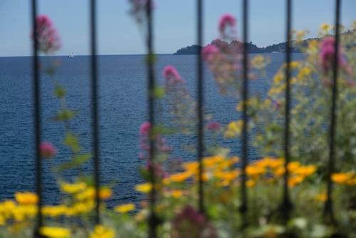 Apartamento Castello Canevaro