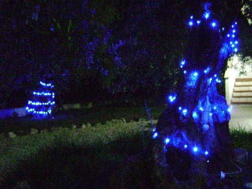 B&B Villa M�diterran�e