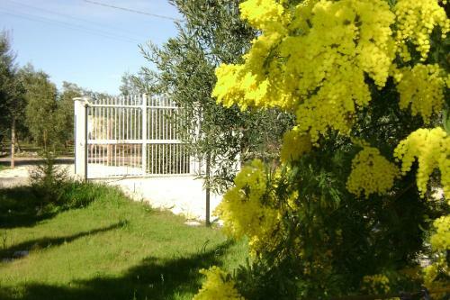B&B Villa M�diterran�e