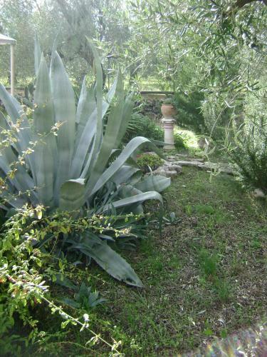 B&B Villa M�diterran�e