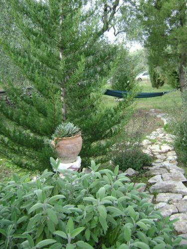 B&B Villa M�diterran�e