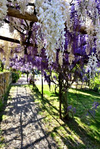 Apartamento Le Mascie