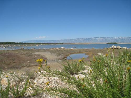Apartmani Frane