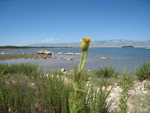 Apartmani Frane