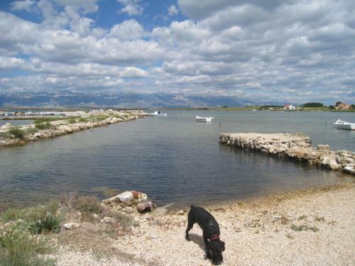 Apartmani Frane