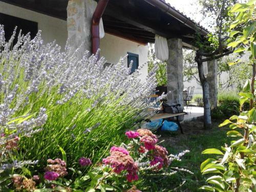 Holiday Home Paulana