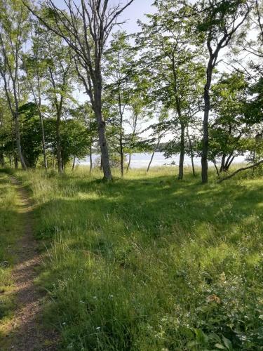 Mysig Stuga N�ra Havet Och Naturreservat